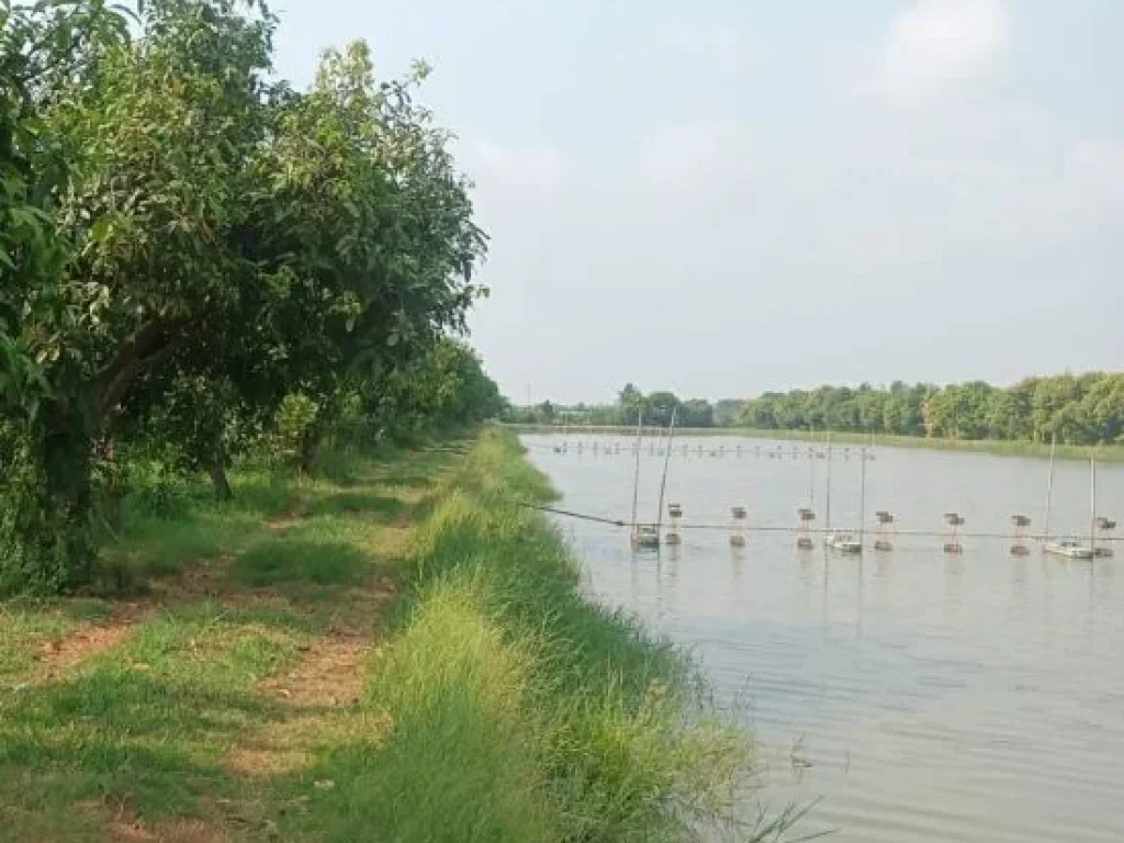 ขาย ที่ดินเนื้อที่ 10ไร่ 6ตรว ที่ดินพร้อมทำรายได้