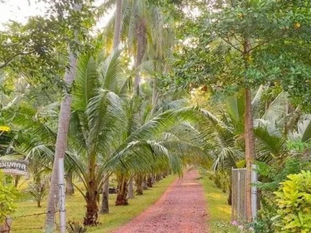 ขายที่ดินติดทะเล หาดฝั่งแดง อันซีนไทยแลนด์ หนึ่งเดียวในสยาม