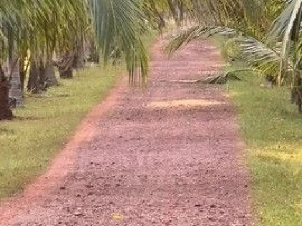 ขายที่ดินติดทะเล หาดฝั่งแดง อันซีนไทยแลนด์ หนึ่งเดียวในสยาม