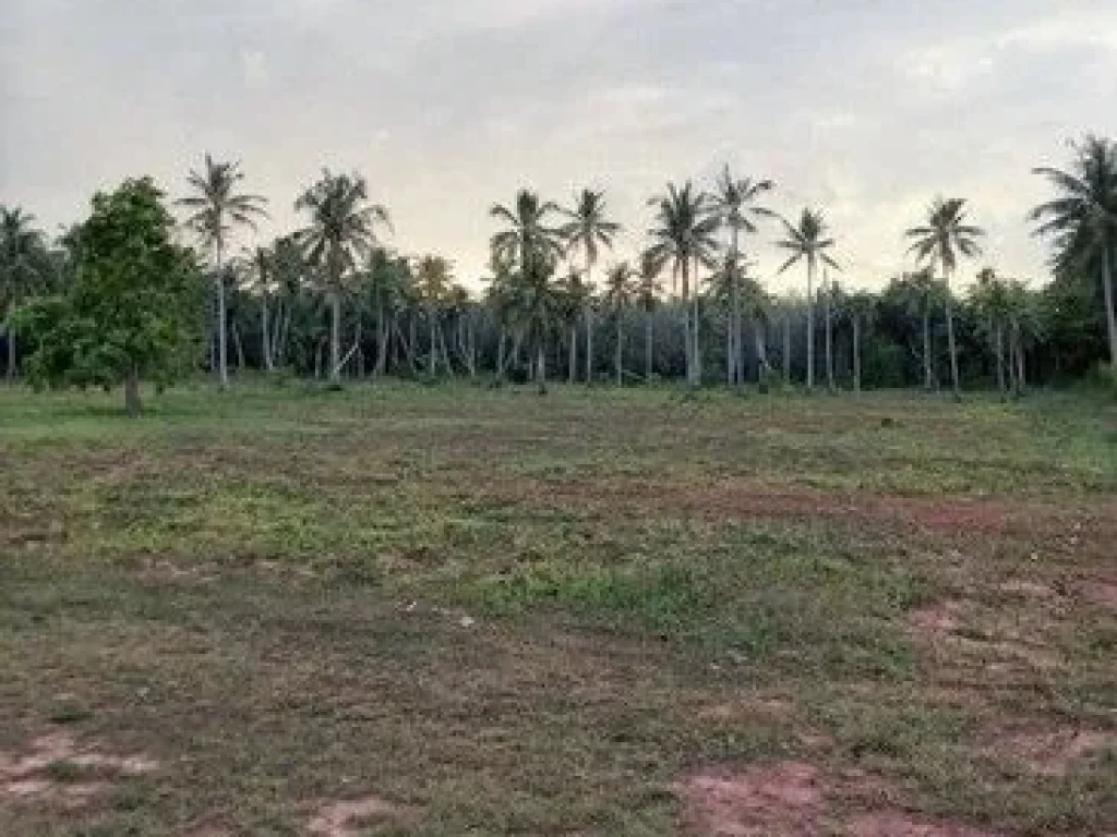 ขายที่ดินติดทะเล หาดฝั่งแดง อันซีนไทยแลนด์ หนึ่งเดียวในสยาม