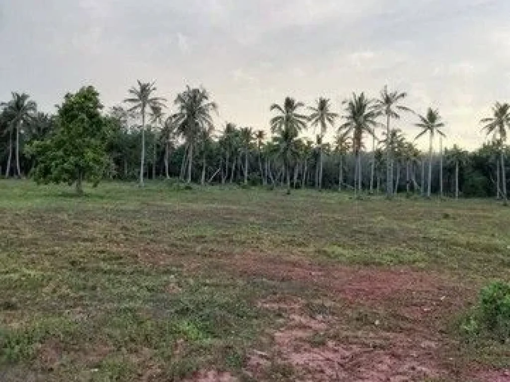 ขายที่ดินติดทะเล หาดฝั่งแดง อันซีนไทยแลนด์ หนึ่งเดียวในสยาม