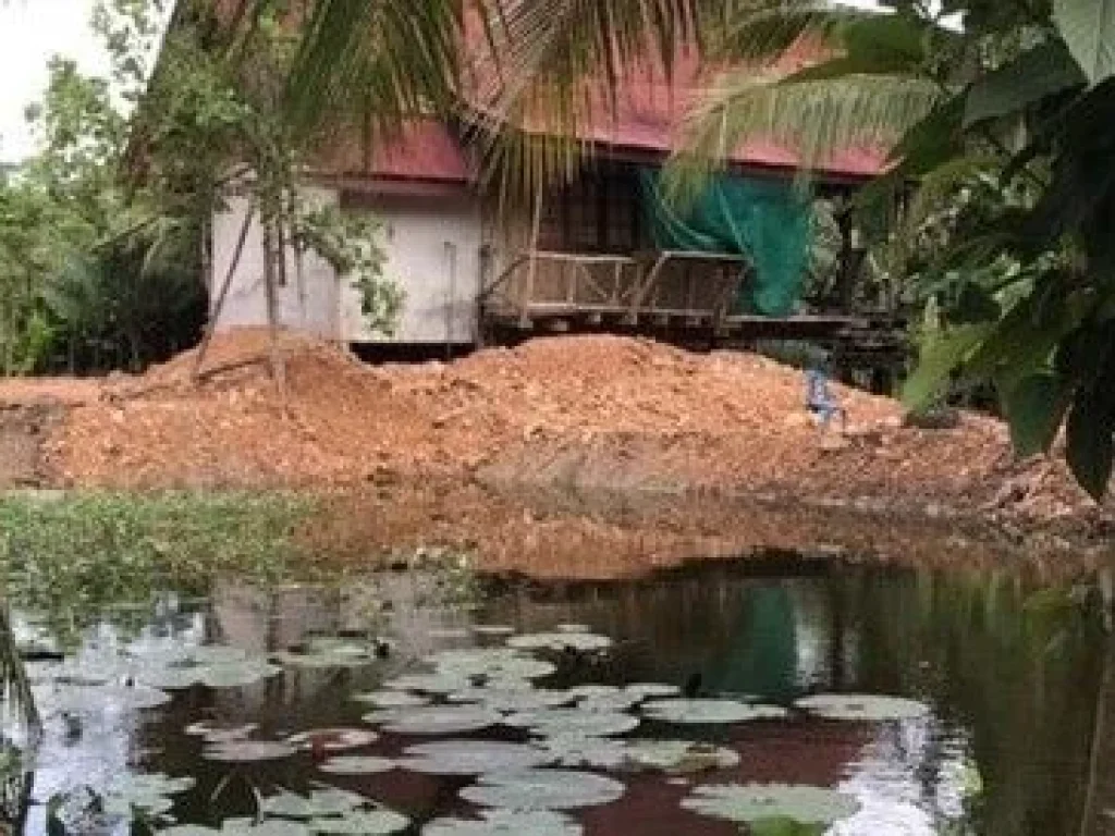 ขาย ที่ดิน ตำบลท่ายาง อำเภอเมืองชุมพร จังหวัดชุมพร