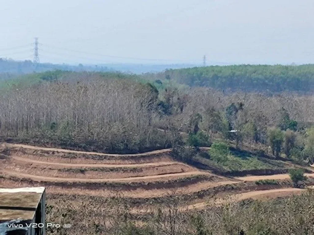 ขายที่ดินโฉนดครุฑแดงบนเนินเขา และติดอุทยานแห่งชาติ