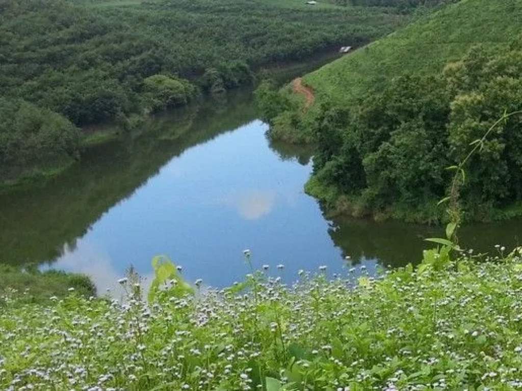 ขายที่ดินโฉนดครุฑแดงบนเนินเขา และติดอุทยานแห่งชาติ