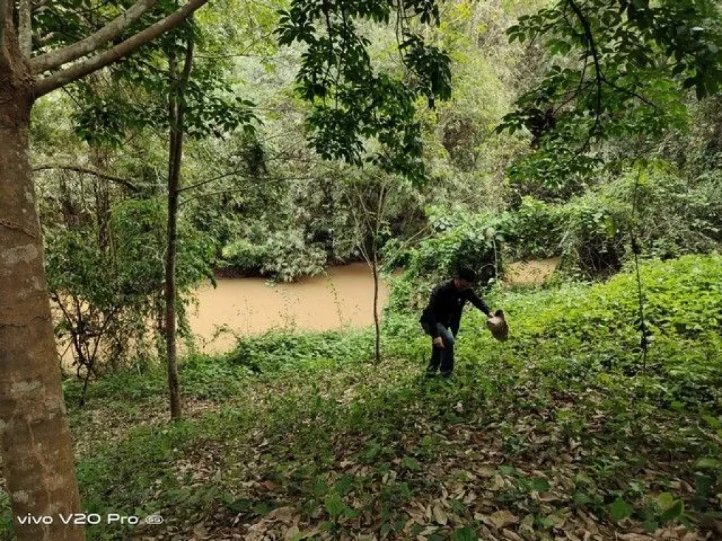 ขายที่ดินโฉนดครุฑแดงบนเนินเขา และติดอุทยานแห่งชาติ