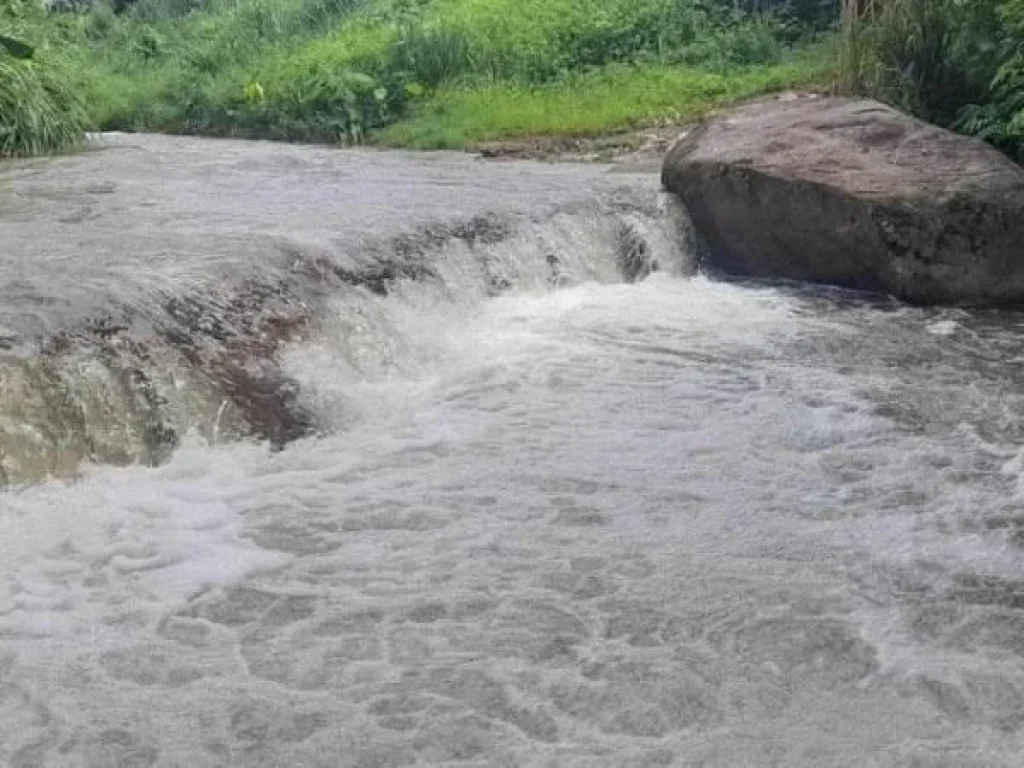 ขายที่ดินติดถนน 118 หลังติดลำธารน้ำบ้านป่าเมี่ยงดอยสะเก็ตโฉนด