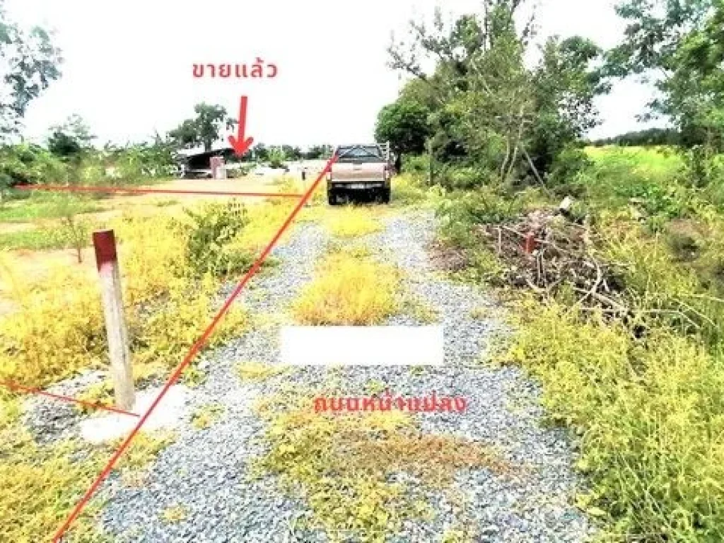 ขายที่ดินถมแล้ว วิวด้านหลังแปลงติดน้ำและวิวนา บรรยากาศดี