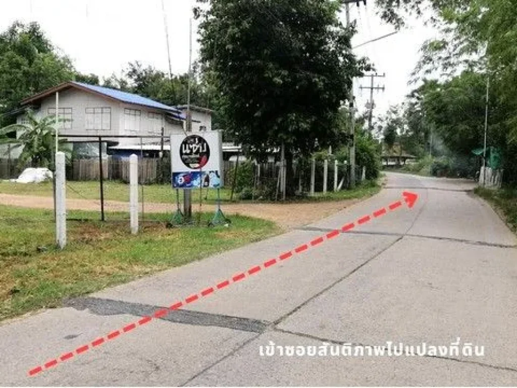 ขายที่ดินถมแล้ว วิวด้านหลังแปลงติดน้ำและวิวนา บรรยากาศดี