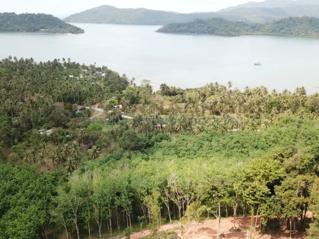 ที่ดิน บ้านเจ๊กแบ้ เกาะช้าง ตราด Land on Ban Chek Bae Koh