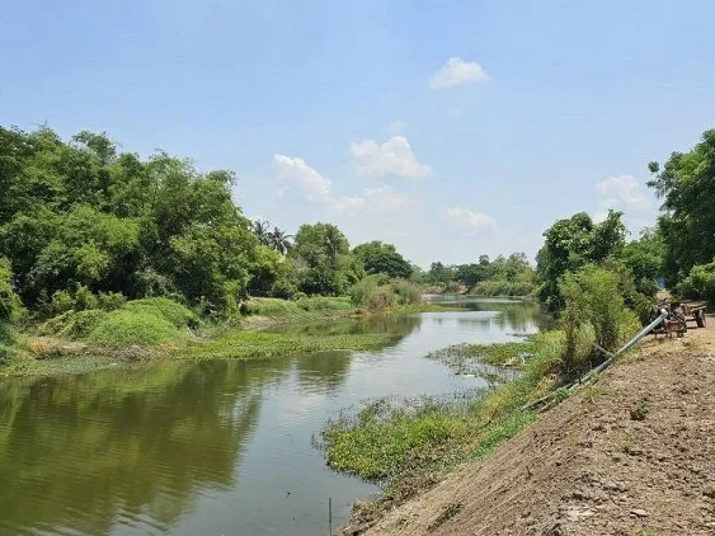 ขายที่ดินติดถนน ทำเลดี อำเภอเดิมบางนางบวช สุพรรณบุรี