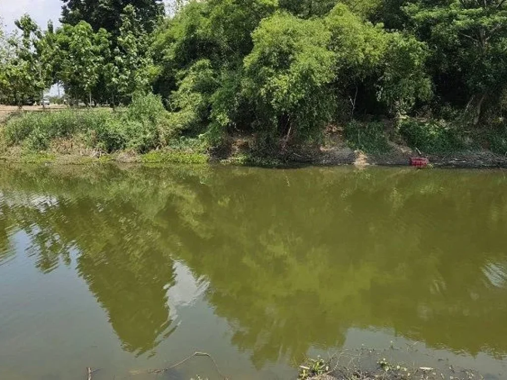 ขายที่ดินติดถนน ทำเลดี อำเภอเดิมบางนางบวช สุพรรณบุรี