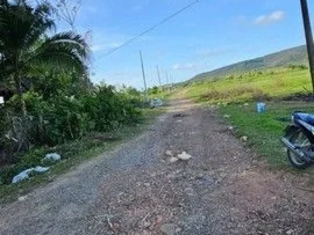 ขายที่ดินแถวเกาะหมี ตำบลคลองแห อำเภอหาดใหญ่ จังหวัดสงขลา