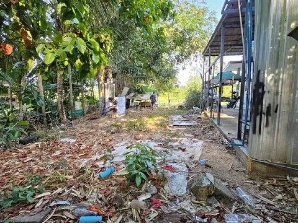 ขายที่ดินแถวเกาะหมี ตำบลคลองแห อำเภอหาดใหญ่ จังหวัดสงขลา