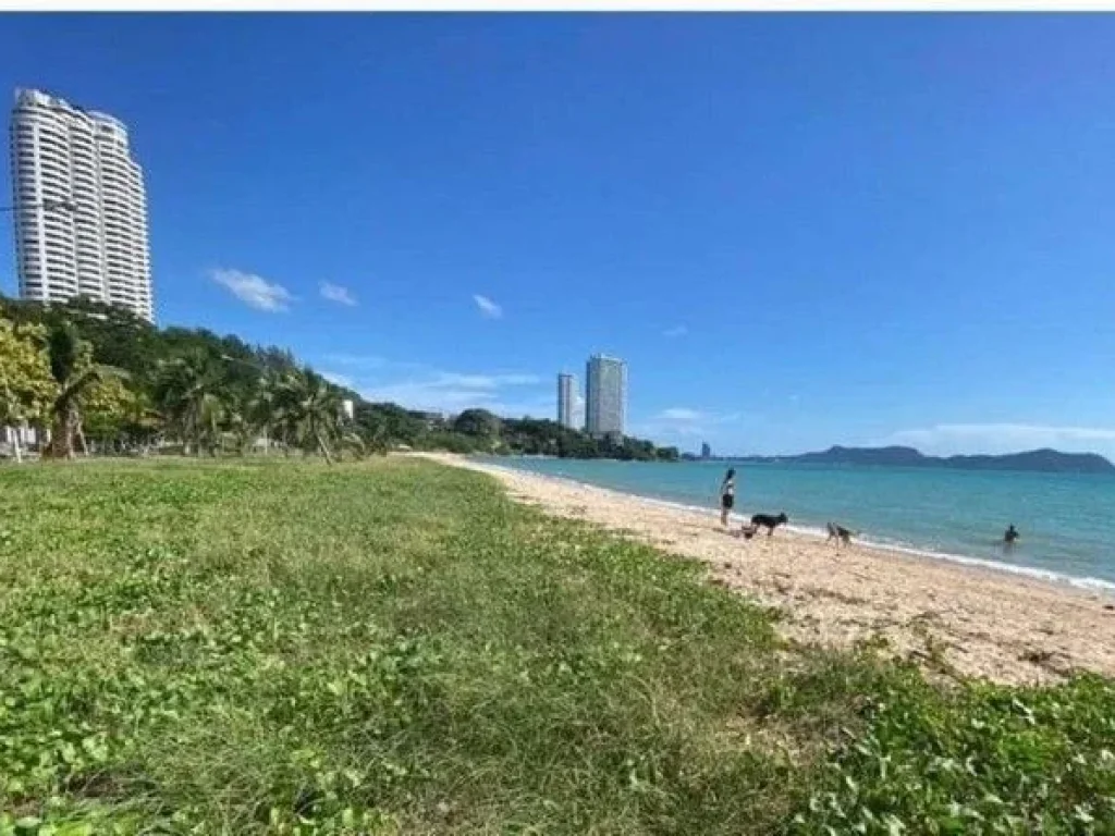 ขายที่ดินติดทะเล หาดบ้านอำเภอ นาจอมเทียน สัตหีบ ชลบุรี