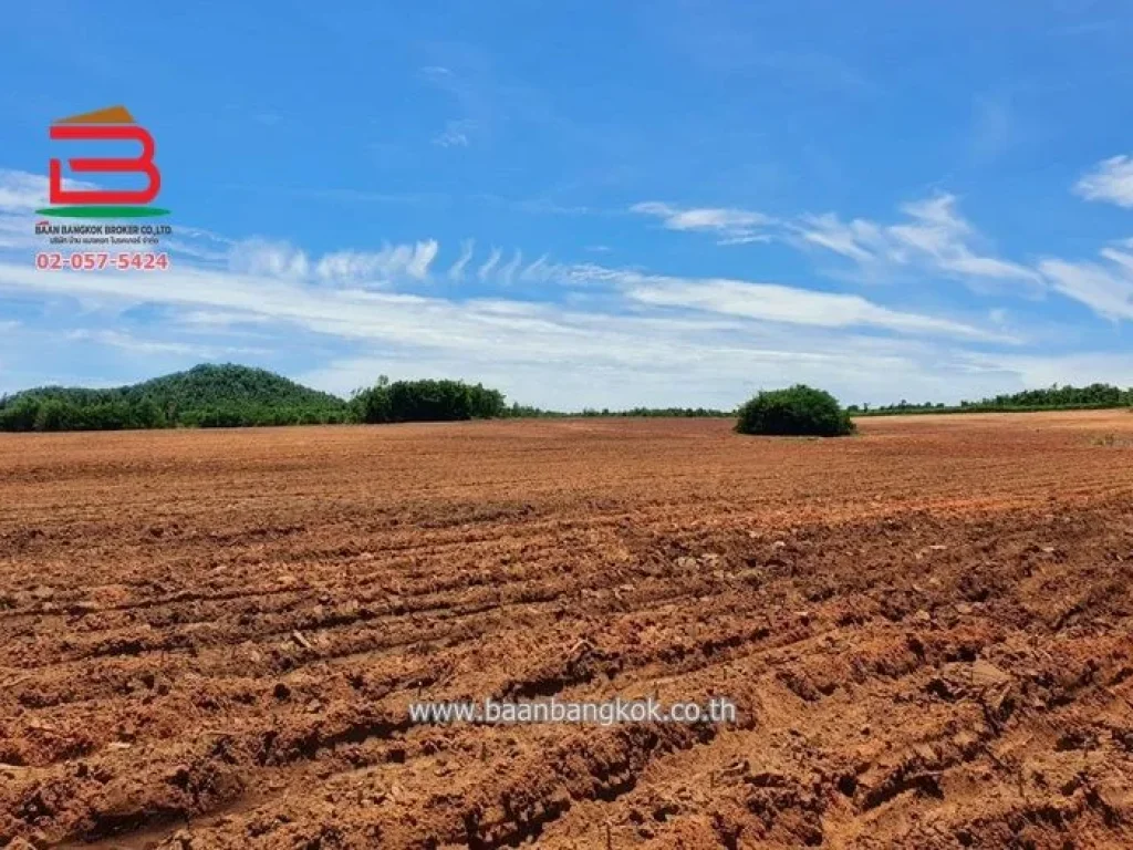 ที่ดินเปล่า ใกล้จุดขึ้น-ลง มอเตอร์เวย์ ด่านมะขามเตี้ย