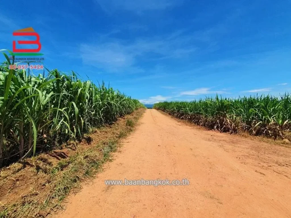 ที่ดินเปล่า ใกล้จุดขึ้น-ลง มอเตอร์เวย์ ด่านมะขามเตี้ย