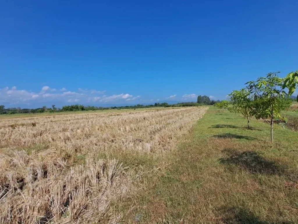 ขายไร่นาสวนผสม ติดถนนลาดยางติดคลอง ใกล้เซเว่นบ้านป่ารกฟ้า