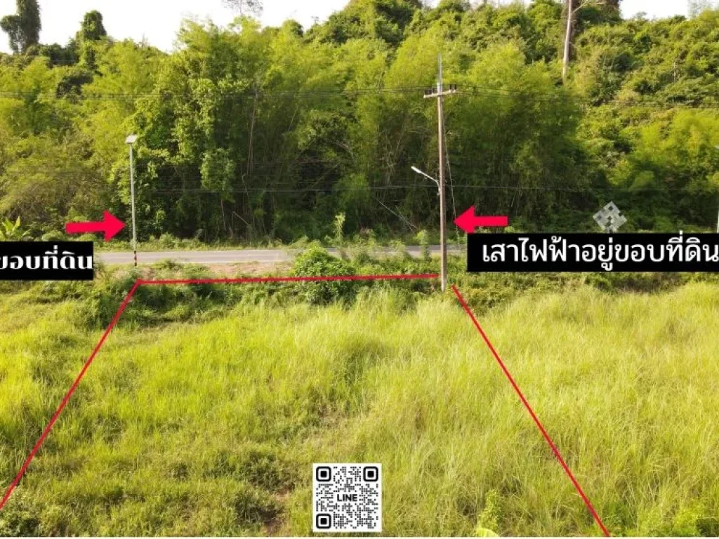 ขายที่ดิน 98 ตรว มีโฉนด ใกล้ รรจปร ติดถนนหลัก วิวเขาสวย