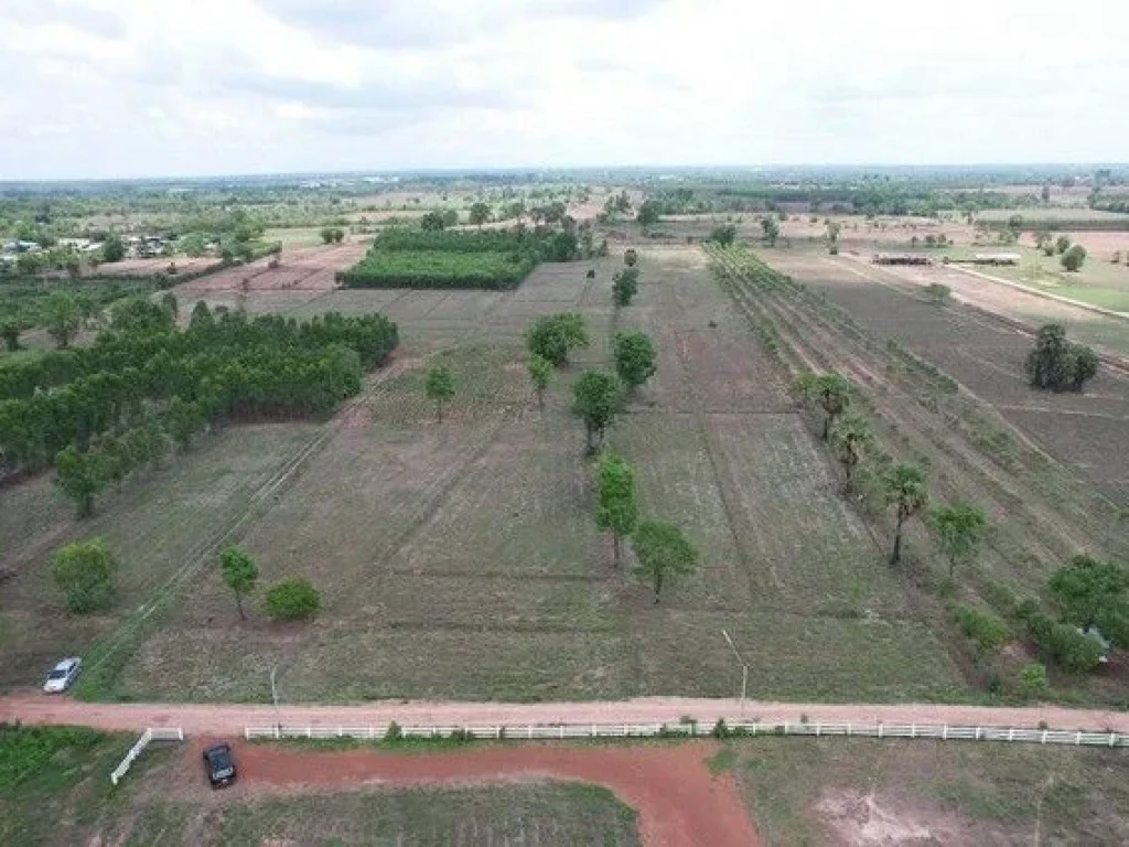 ลดแรงที่ดินนนทรีวิวเขาสวยบรรยากาศดีจากราคาเหมา15ล้านเหลือเพ