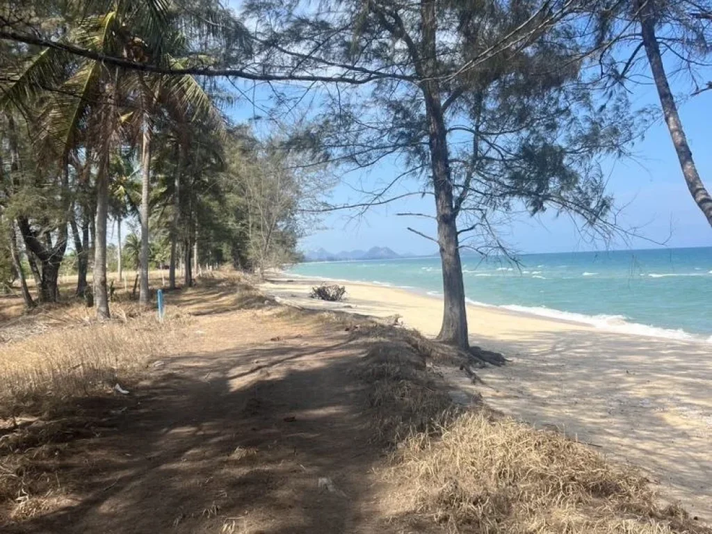 ขายที่ดินติดทะเลหาดบ้านกรูด หาดส่วนตัว เนื้อที่261ตารางวา