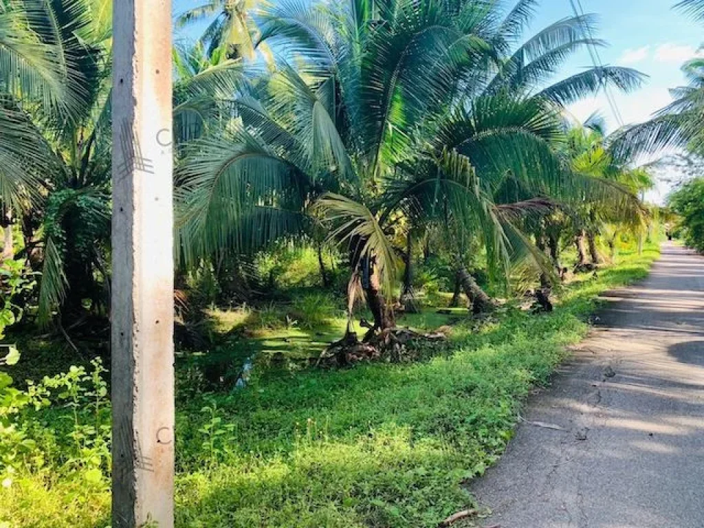 ขาย ที่ดินพร้อมสิ่งปลูกสร้าง ขนาด 2 ไร่ 74 ตรวา