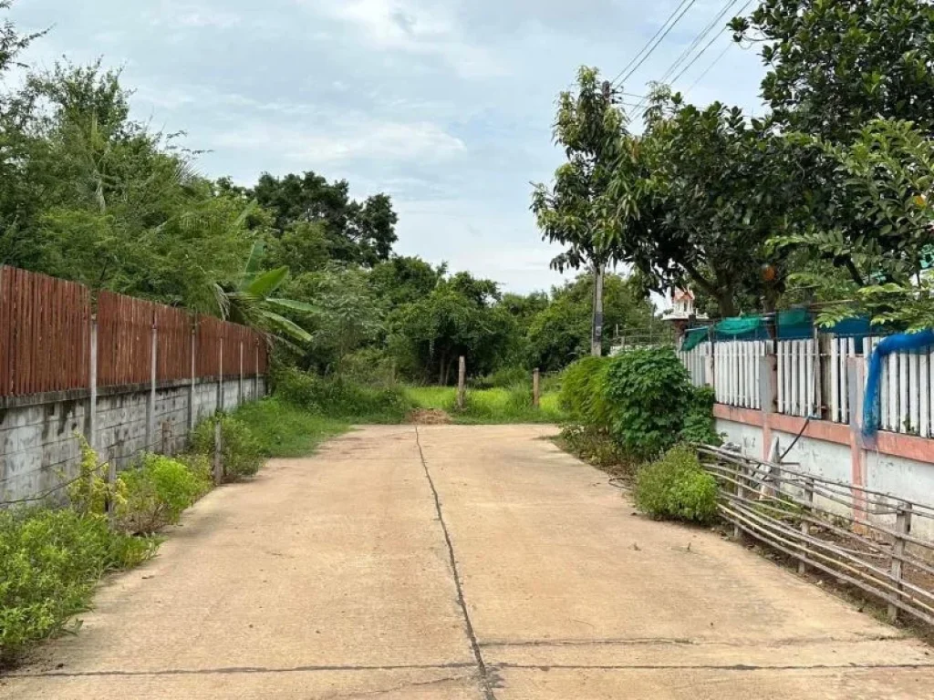 ที่ดินทำเลดีๆ ตรงข้ามโรงเรียนเชียงยืนพิทยาคม