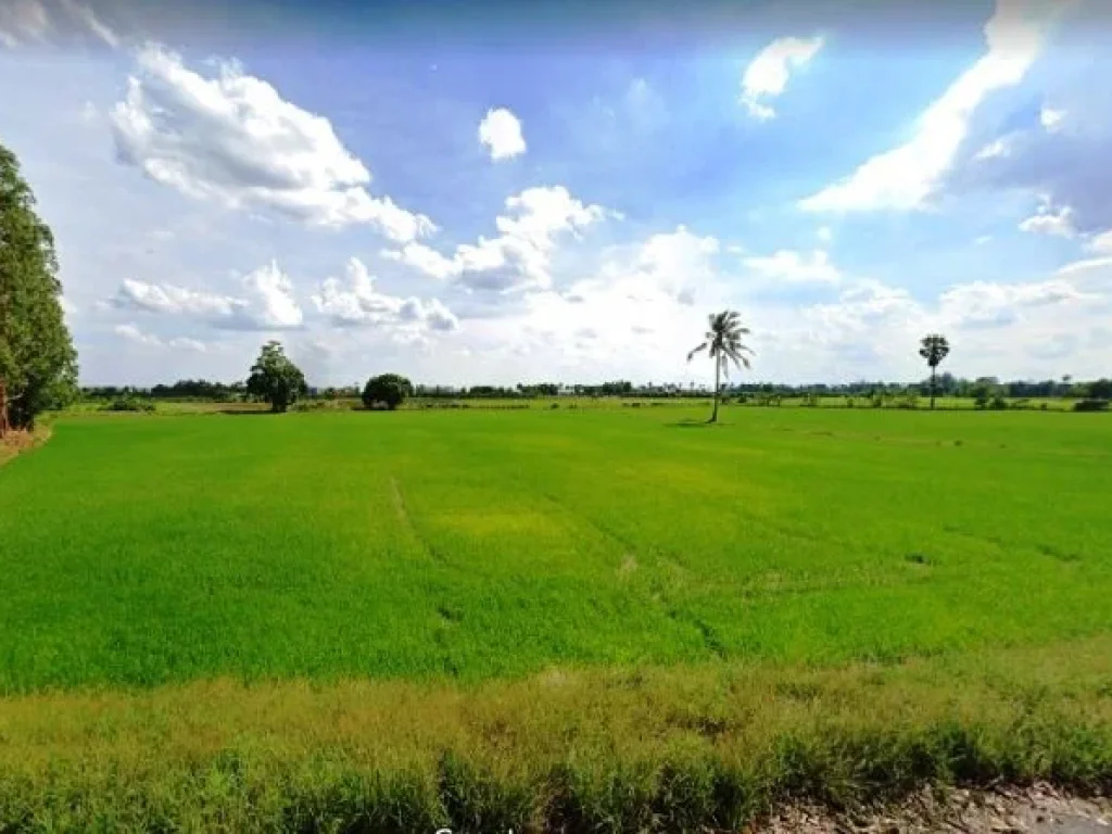 ขายที่ดินวังยาง ตวังยาง อศรีประจันต์ จสุพรรณบุรี เนื้อที่