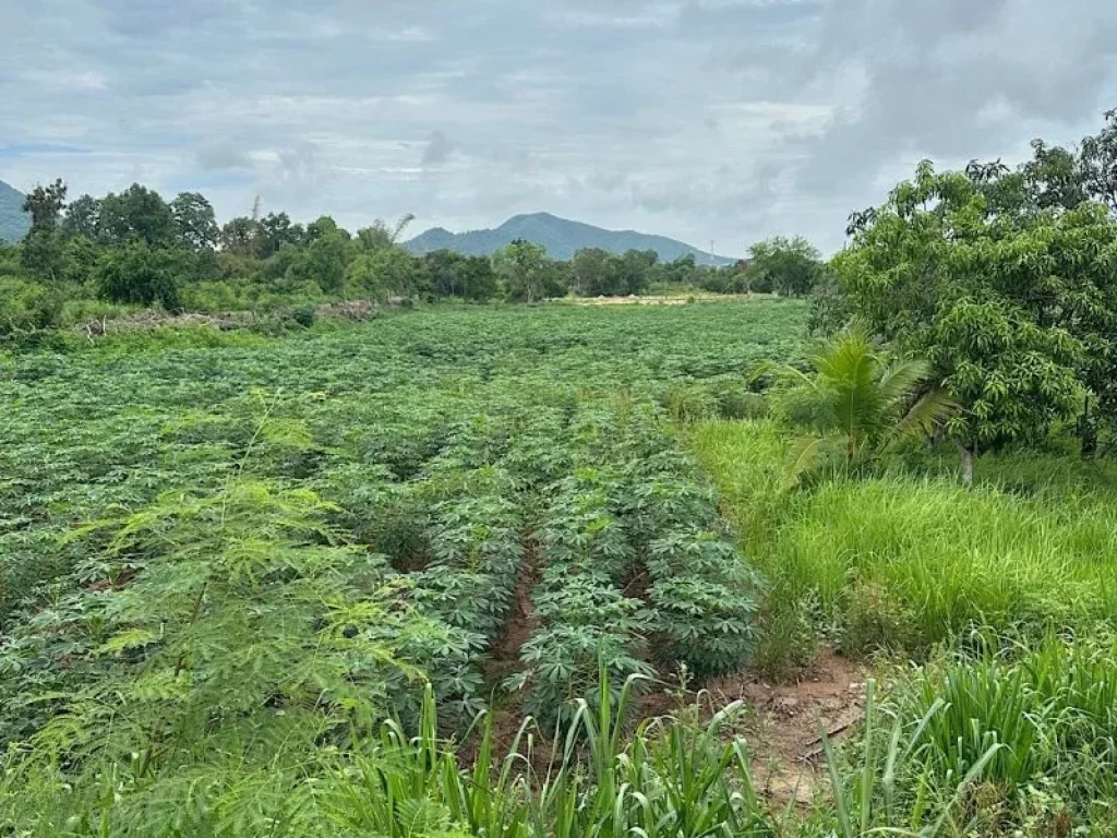 ขายที่ดินแปลงสวย ติดถนนสุขุมวิท บางเสร่ 8-1-19 ไร่