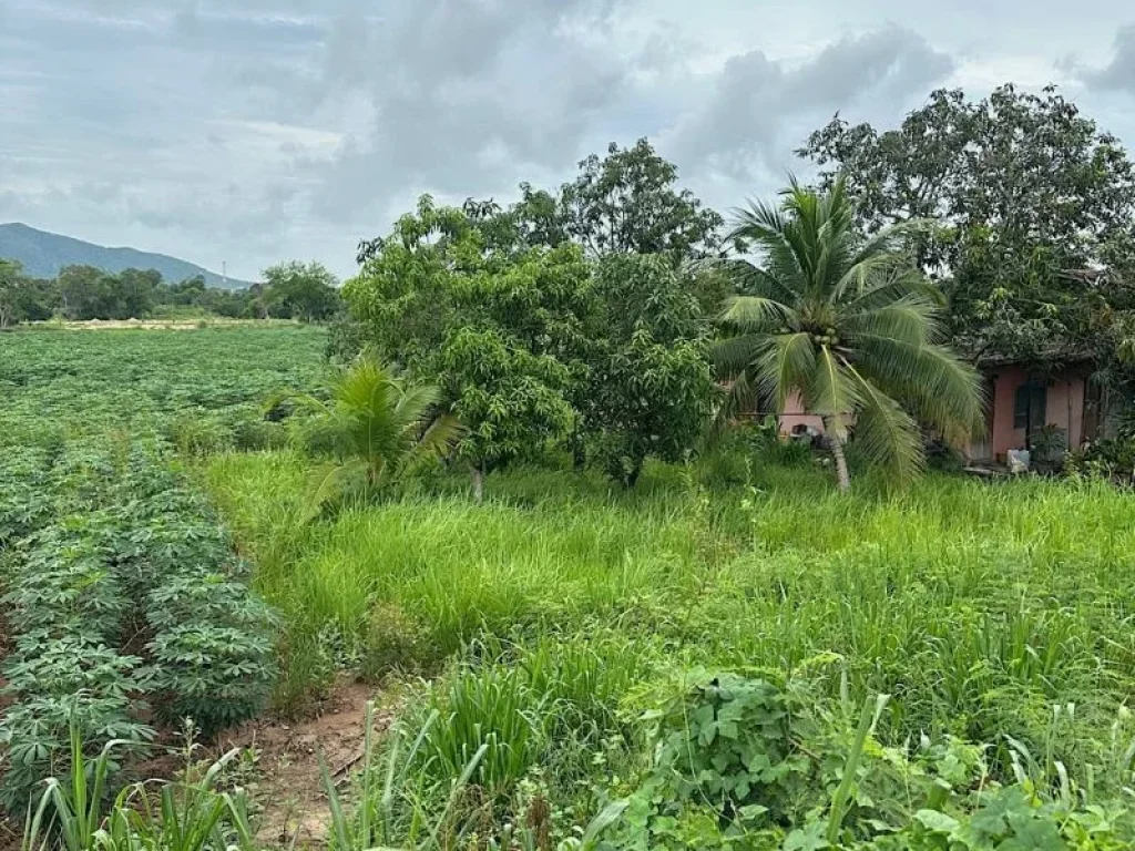 ขายที่ดินแปลงสวย ติดถนนสุขุมวิท บางเสร่ 8-1-19 ไร่