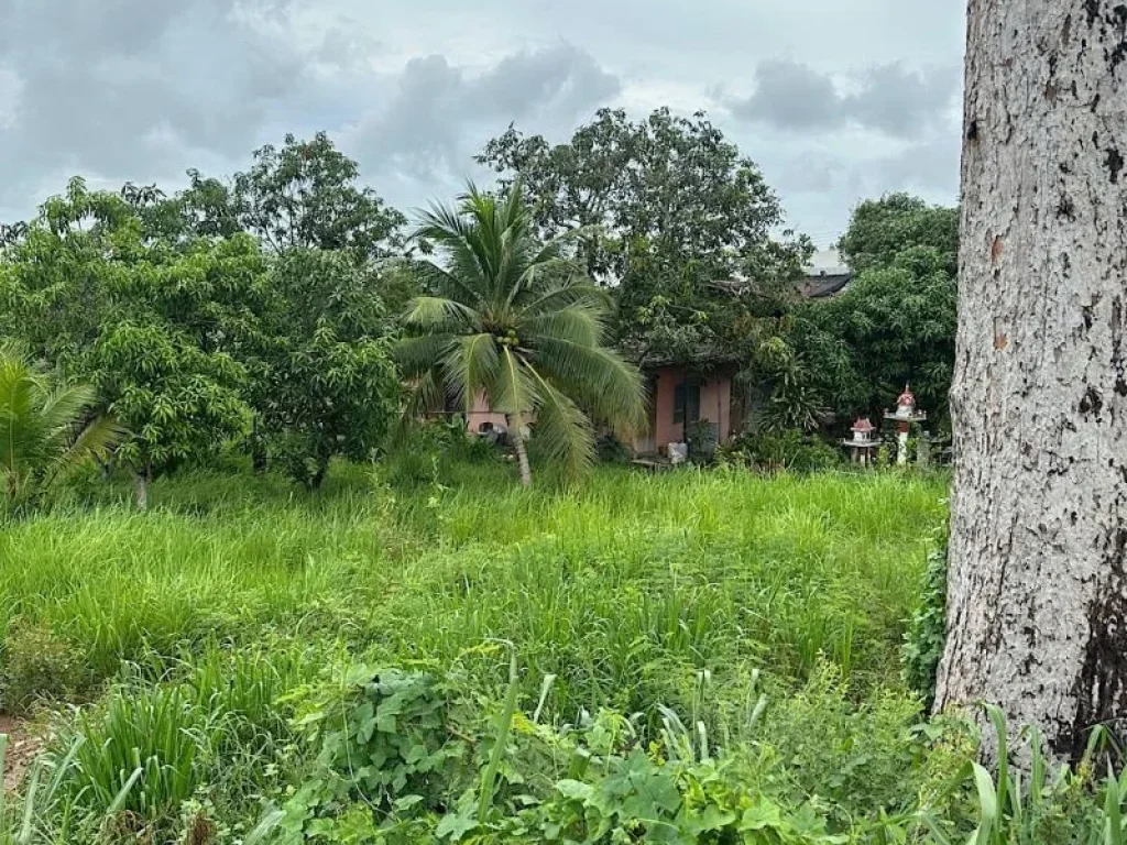 ขายที่ดินแปลงสวย ติดถนนสุขุมวิท บางเสร่ 8-1-19 ไร่