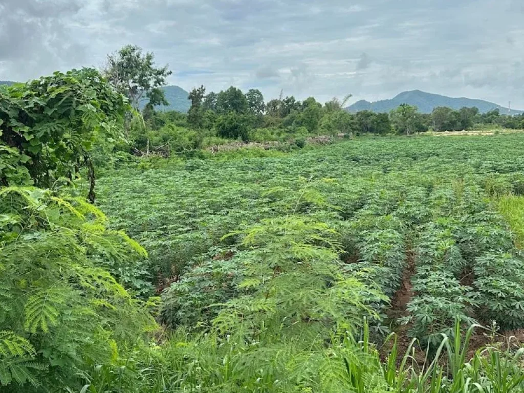 ขายที่ดินแปลงสวย ติดถนนสุขุมวิท บางเสร่ 8-1-19 ไร่