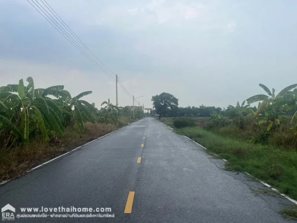 ขายที่ดินเปล่า ใกล้ถนนกาญจนาภิเษก ปทุมธานี พื้นที่ 2 ไร่ 1