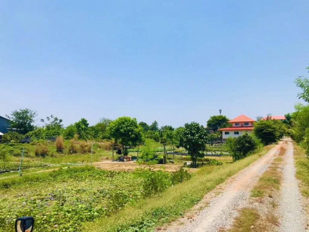 ขายที่ดินบางใหญ่ นนทบุรี 9 ไร่ ใกล้คลองประปามหาสวัสดิ์