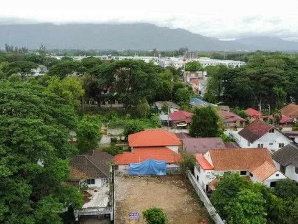 ที่ดินตรงข้ามกาดรวมโชคล้อมกำแพง 3 ด้าน พื้นที่ 100 ตรว