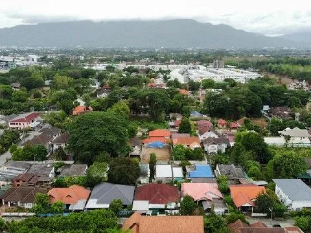 ที่ดินตรงข้ามกาดรวมโชคล้อมกำแพง 3 ด้าน พื้นที่ 100 ตรว