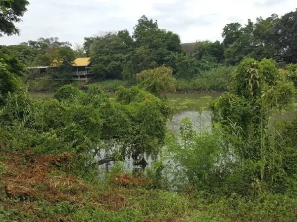 ขายที่ดินเปล่าติดแม่น้ำป่าสัก อนครหลวง จพระนครศรีอยุธยาเนื