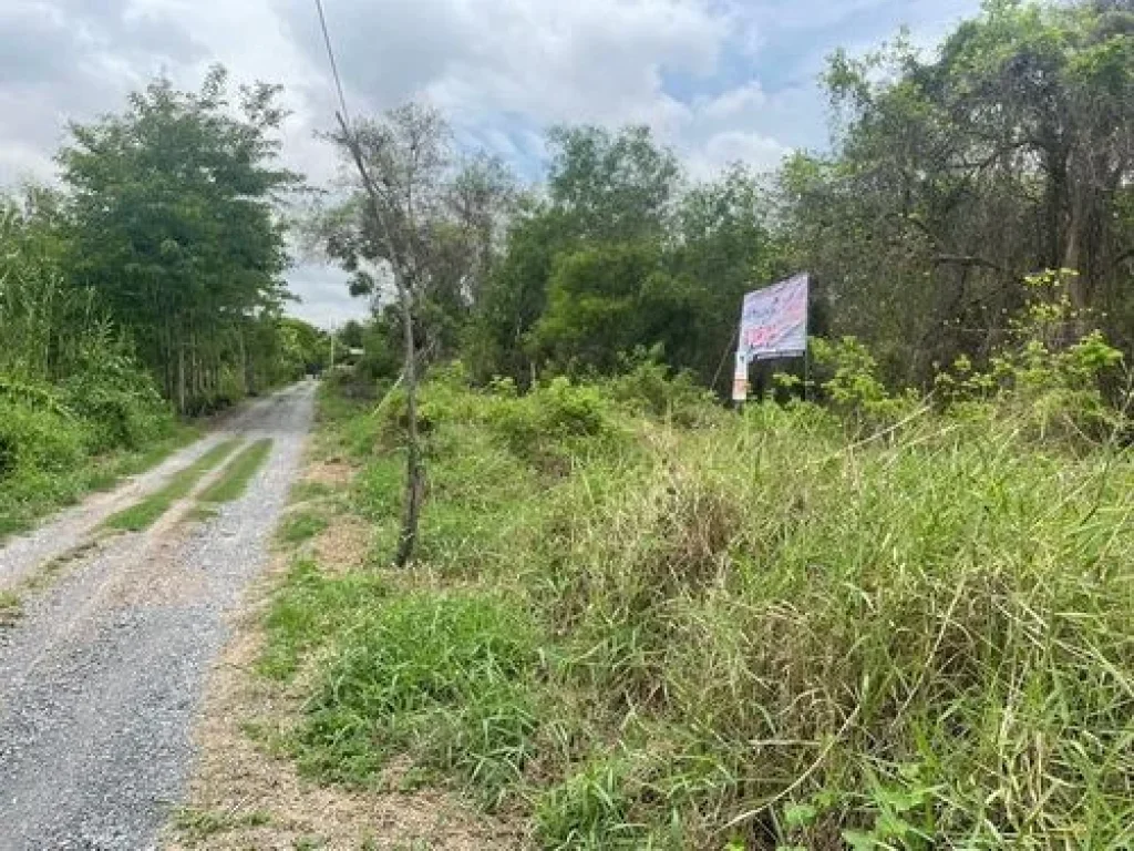 ขายที่ดินเปล่า100 ตรว ตรังสิตใต้ อธัญบุรี จปทุมธานี