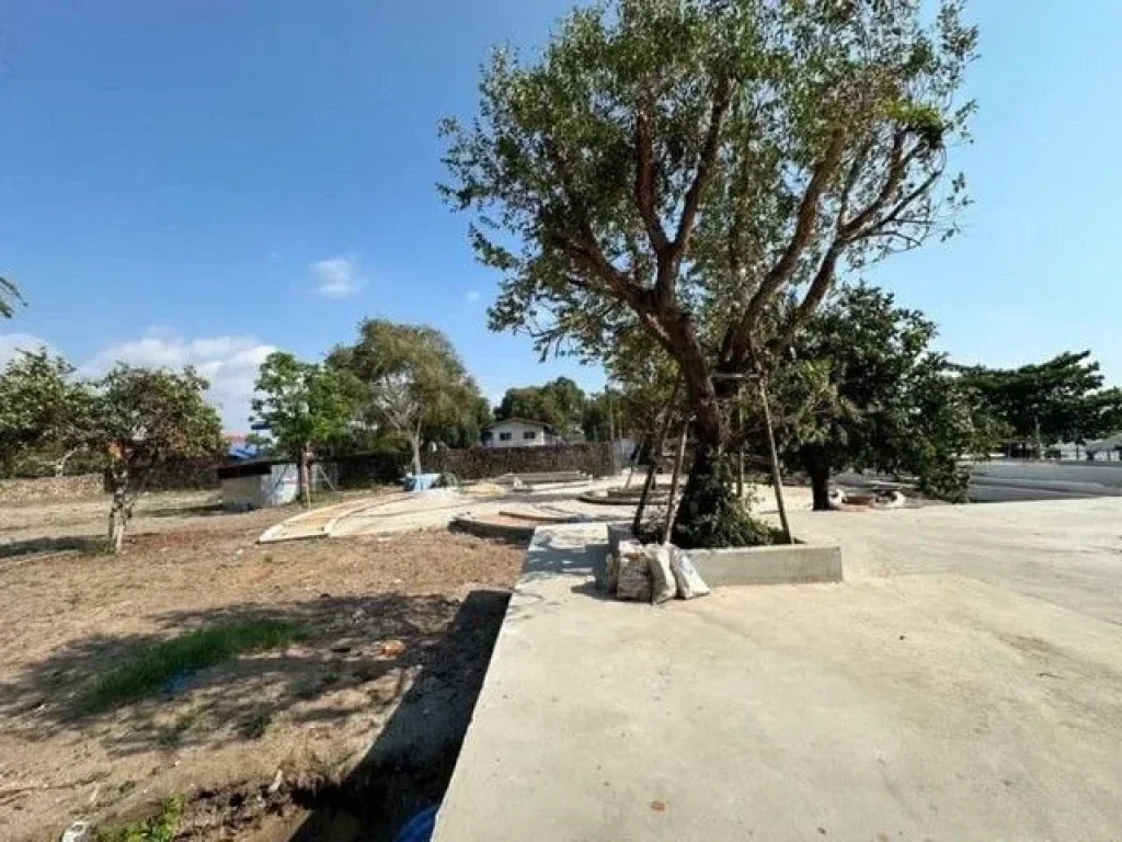 ที่ดินติดทะเล หาดแยกกระทิงลาย โซนโรงโป๊ะ บางละมุง ชลบุรี