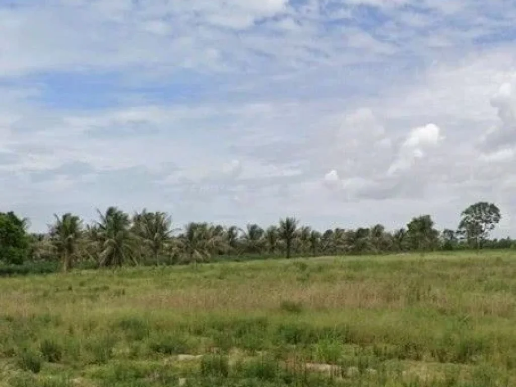 ขายที่ดินพัทยา บางละมุง โซนหนองเกตุใหญ่ ใกล้ท่าเรือแหลมฉบัง