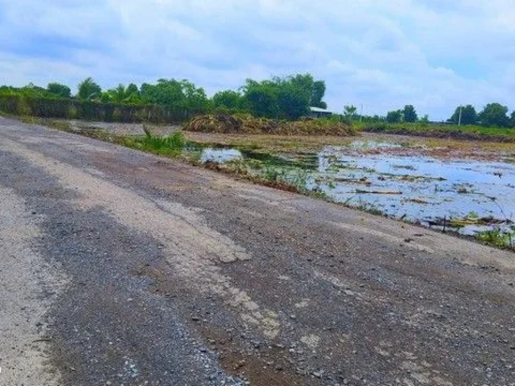 ขายที่ดินคลองหก คลองหลวง ซอย 92 น้ำไฟพร้อม ติดถนนลาดยาง ขนาด