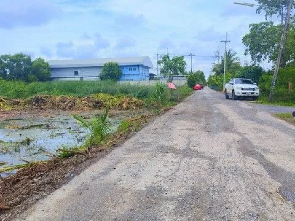 ขายที่ดินคลองหก คลองหลวง ซอย 92 น้ำไฟพร้อม ติดถนนลาดยาง ขนาด