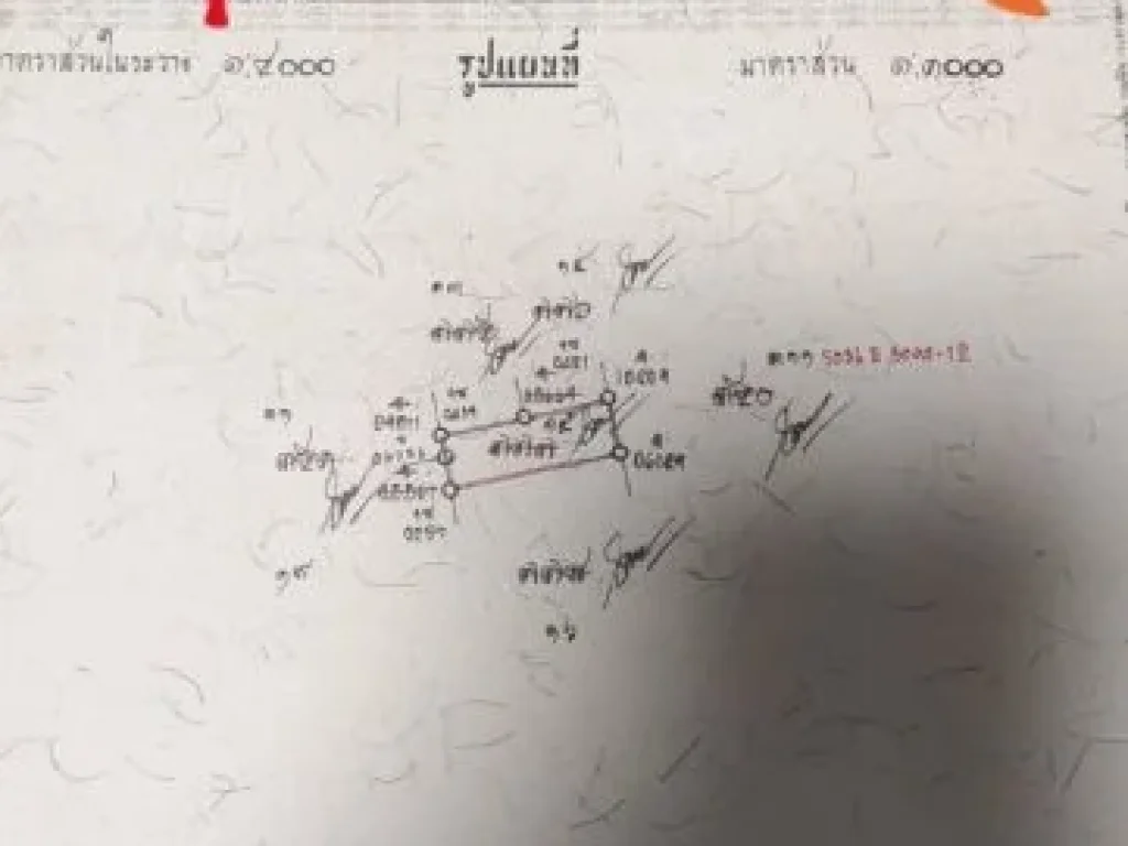 ขายที่ดิน 48 ตรว ซอยบางกระดี่24 แยก6 แสมดดำ กรุงเทพ