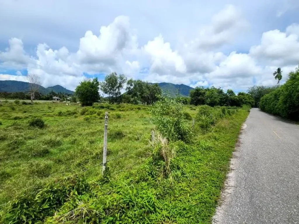 ขายที่ดิน เขายายดา ทางหลวงชนบท ถนนสุขุมวิท ตำบลตะพง