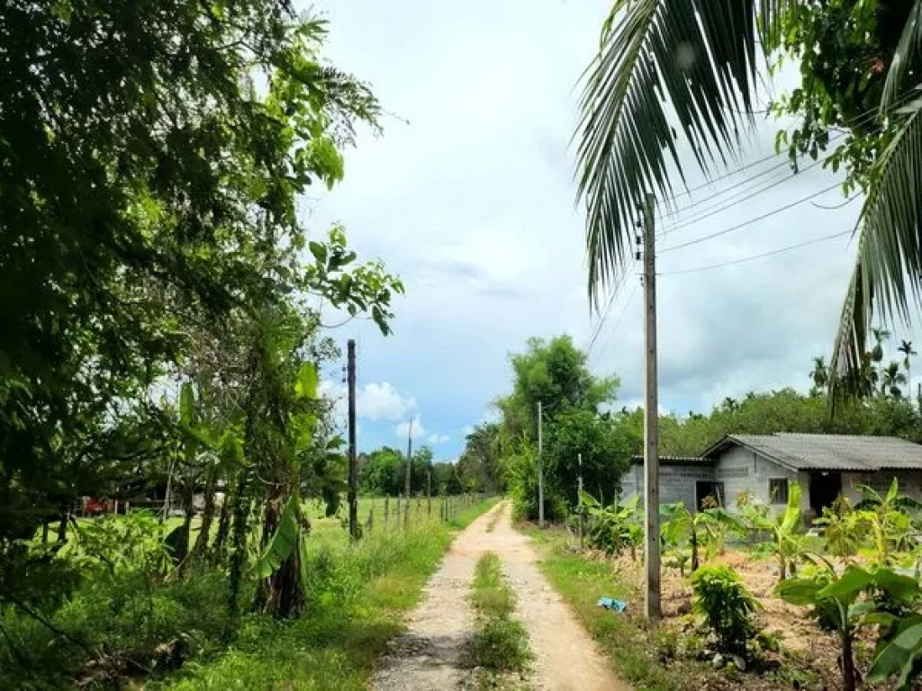 ขายที่ดิน เขายายดา ทางหลวงชนบท ถนนสุขุมวิท ตำบลตะพง