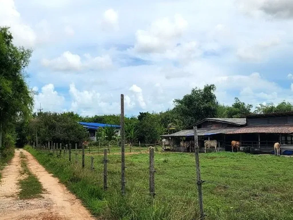 ขายที่ดิน เขายายดา ทางหลวงชนบท ถนนสุขุมวิท ตำบลตะพง