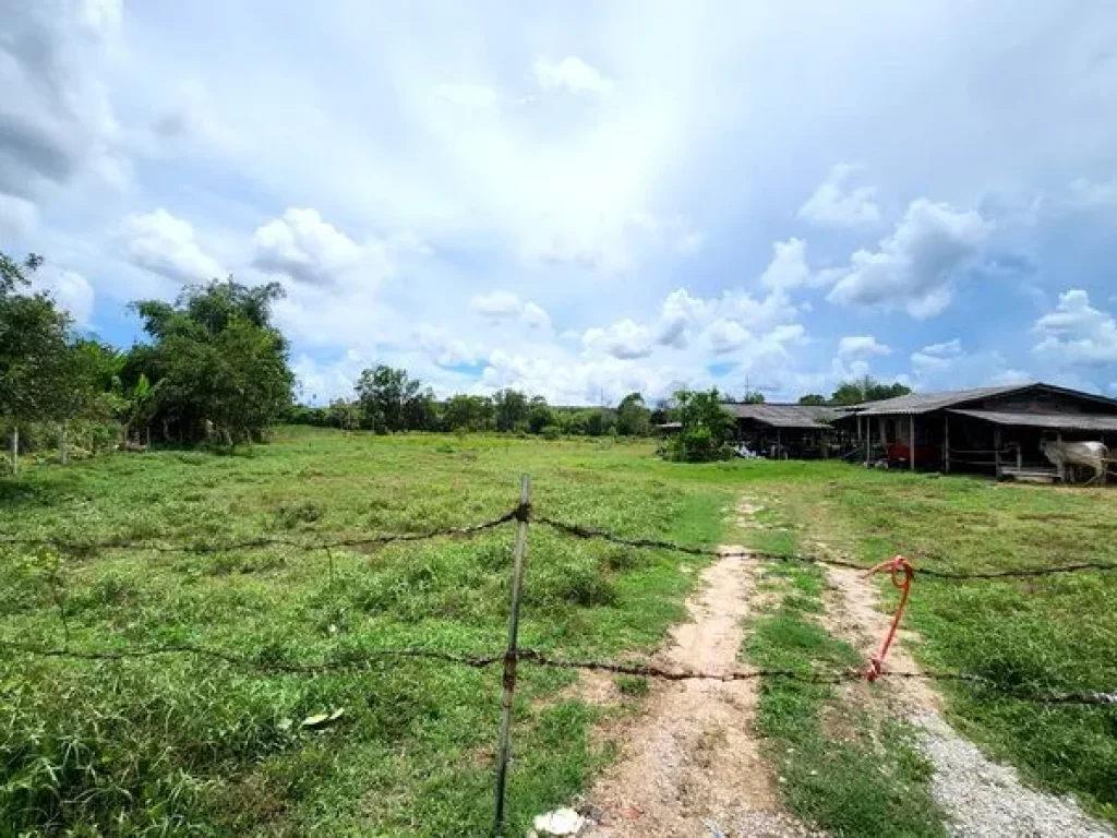 ขายที่ดิน เขายายดา ทางหลวงชนบท ถนนสุขุมวิท ตำบลตะพง