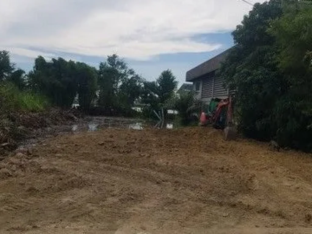 ขายด่วนที่ดินซอยบางปู111 เพลินจิต ถนนสุขุวิทสายเก่า บางปู