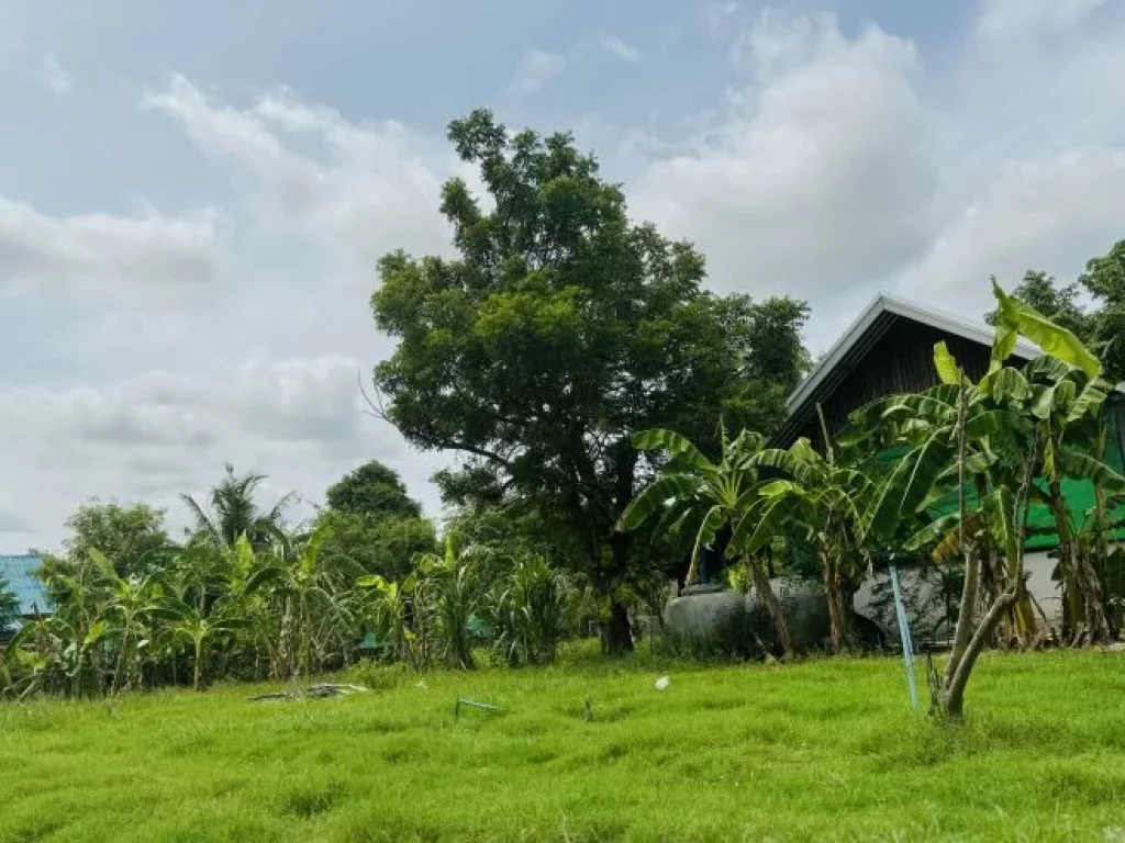 ทำเลศักยภาพ ใกล้โรงเรียนบุญเหลือและโรงเรียนวัดสว่างอารมณ์