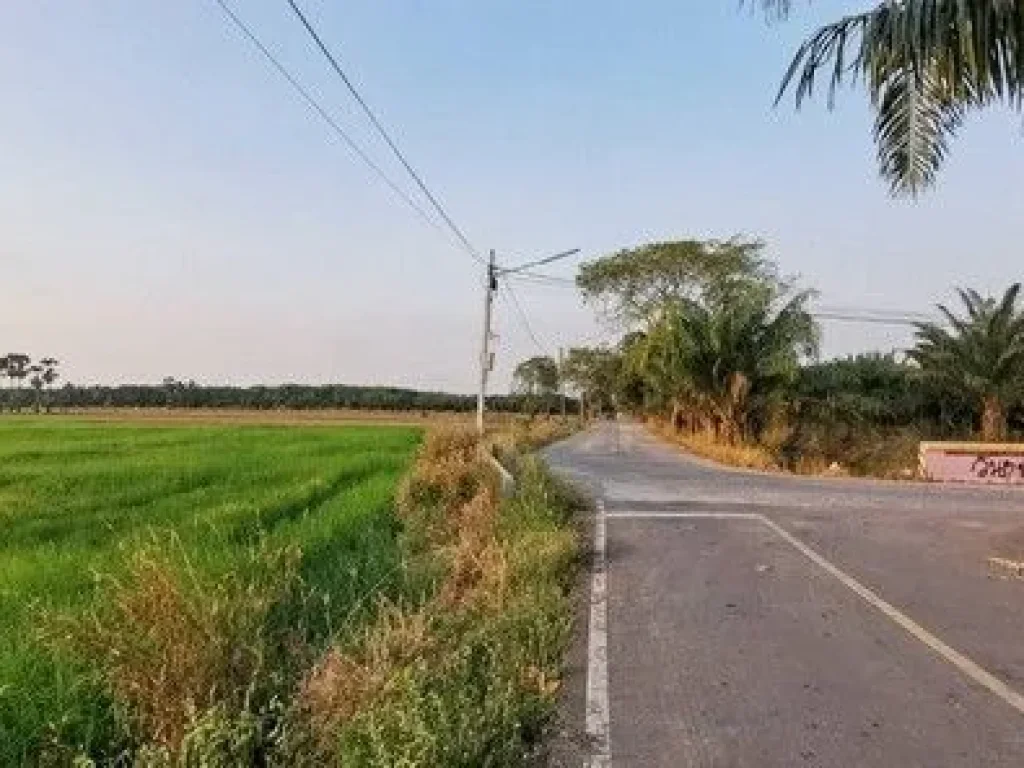 ขาย ที่ดิน หนองเสือ 511 ไร่ 2 งาน 28 ตรวา เหมาะทำ