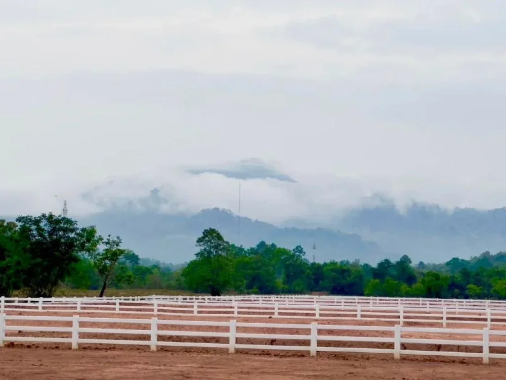 ที่ดินโครงการ Mountain ๙ จปรนครนายก ด่วนพิเศษ